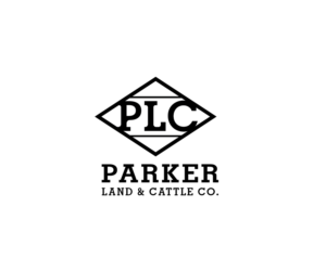 Logo Design by renderman