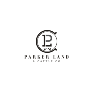 Diseño de Logo por **INCREDIBLEDESIGNERS** para este proyecto | Diseño: #19569492