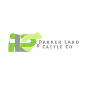 Logo Design by SimpleDesign1985 for this project | Design #19561843