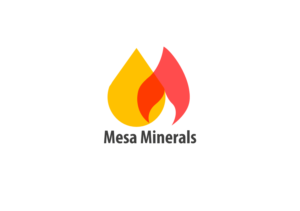 Logo Design by Haithem Sahlia