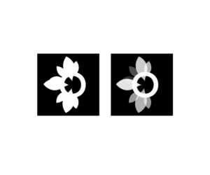 Design de Logo par ArtSamurai pour Happy and Hydrated Ltd | Design : #19593012