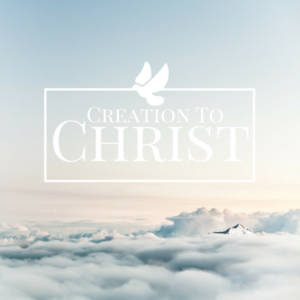 Brochure Design by FindCreative for Northeast Houston Baptist Church | Design: #19622317