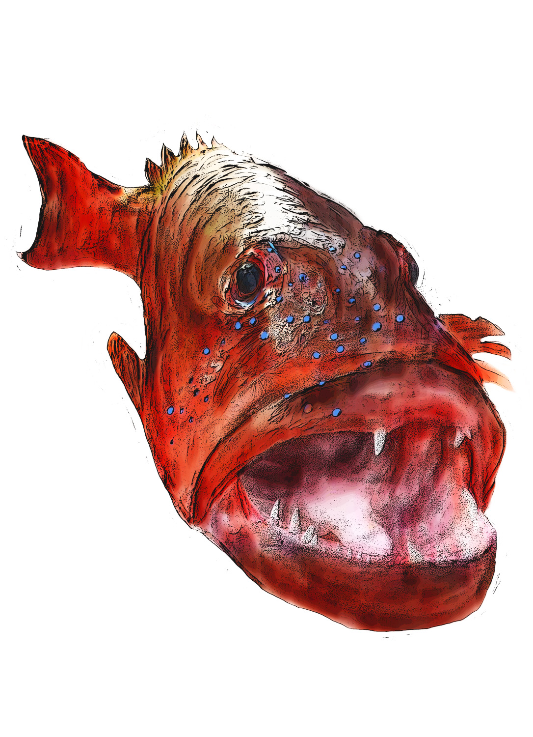 Illustration Design by Melissa 11 for this project | Design #19626324