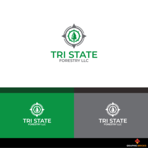 Logo Design by Graphic Bricks
