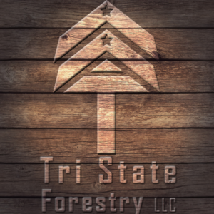 Logo Design by Creative Guru for this project | Design: #19627221