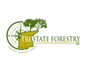 Logo Design by edwinnegz1 for this project | Design: #20612146