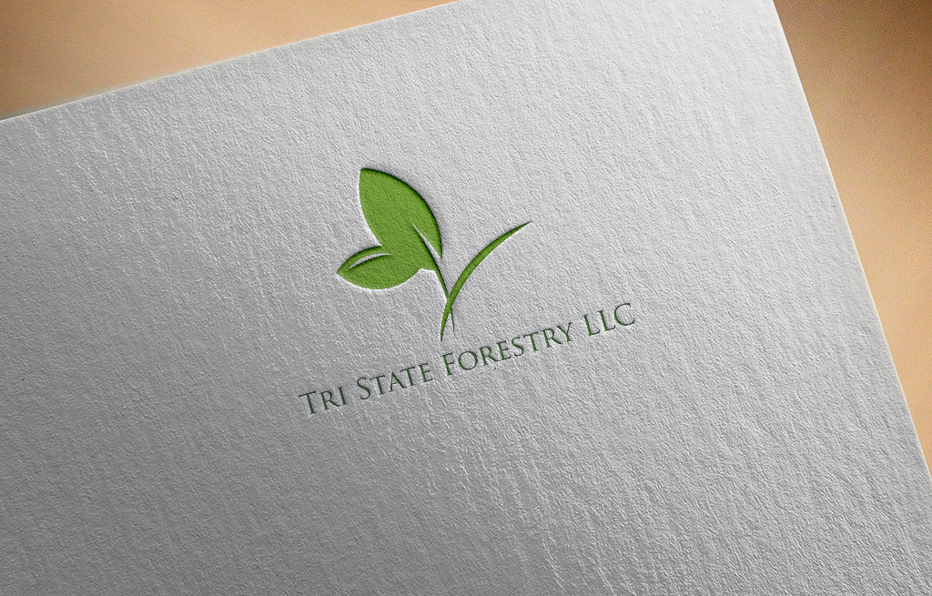 Logo Design by Rosaleen for this project | Design #19637396