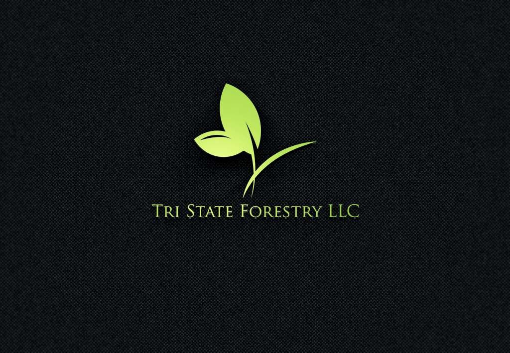 Logo Design by Rosaleen for this project | Design #19637397