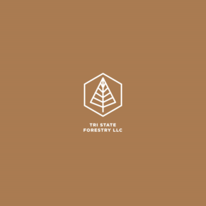 Logo Design by Dan Oliveira for this project | Design #19597882