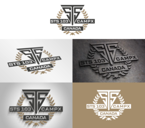 STS Group  | Logo Design by AFD