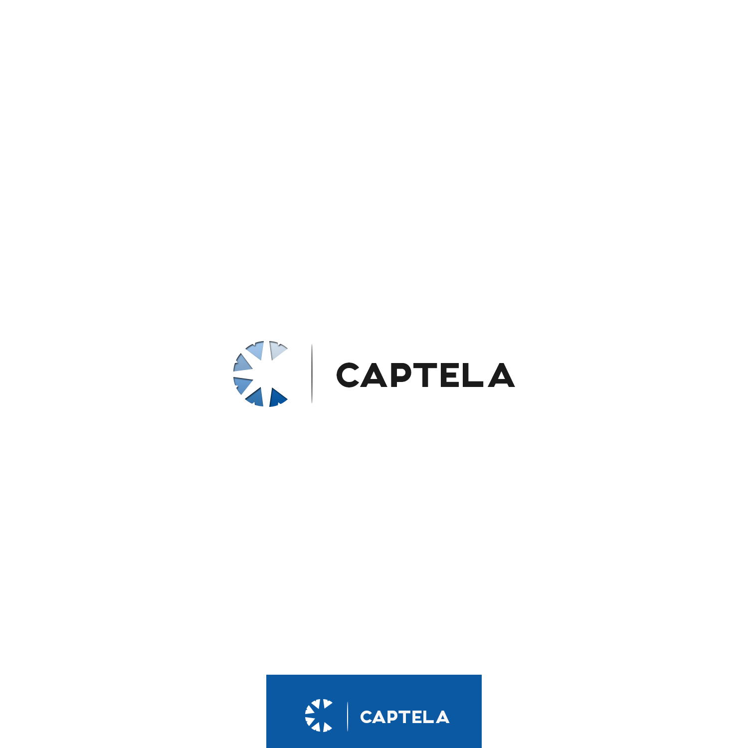 Logo Design by King Cozy for CAPTELA LTD | Design #19589364