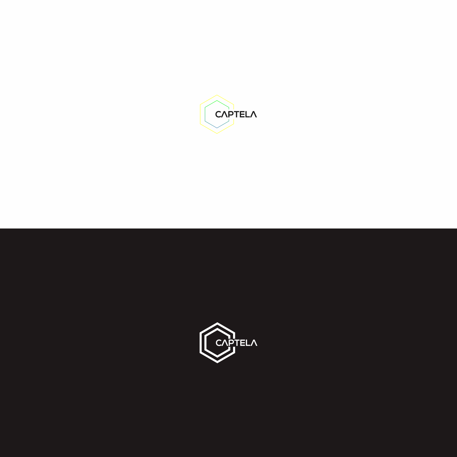 Logo Design by fajararta 2 for CAPTELA LTD | Design #19600595