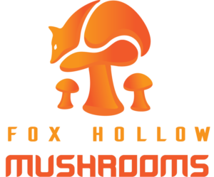 Logo Design by Gigzlogo 2