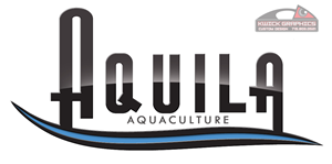 Logo Design by Kwick Graphics for Aquila International, Inc. | Design #2914900