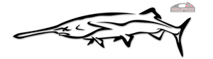 Logo Design by Kwick Graphics for Aquila International, Inc. | Design: #2916737