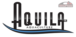 Logo Design by Kwick Graphics for Aquila International, Inc. | Design: #2927805