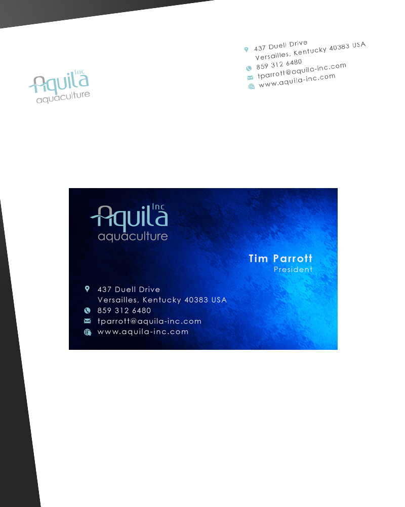 Logo-Design von ferry_studio für Aquila International, Inc. | Design #3187373