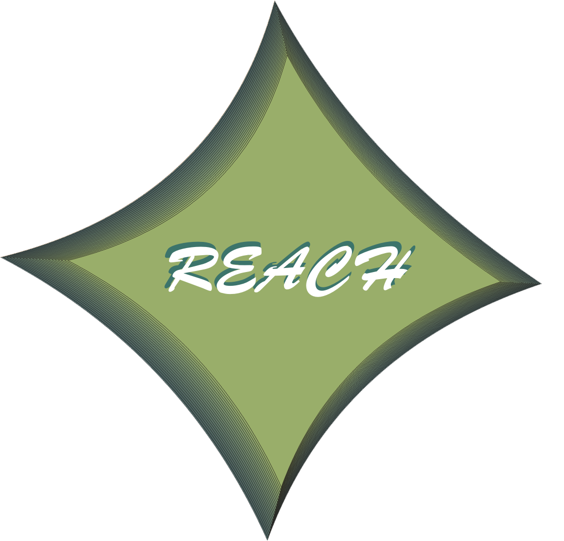 Logo Design by OSman Shahbaz for Reach AS | Design #2896432