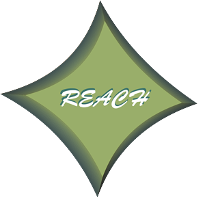 Logo Design by OSman Shahbaz