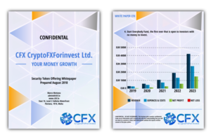 GRAPHICS FOR AN ICO WHITE PAPER DOCUMENT | Graphic Design by design.bb