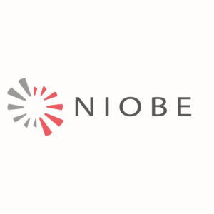 Logo Design by jafer imam