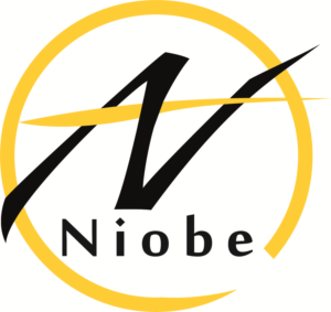 Logo Design by .Du.