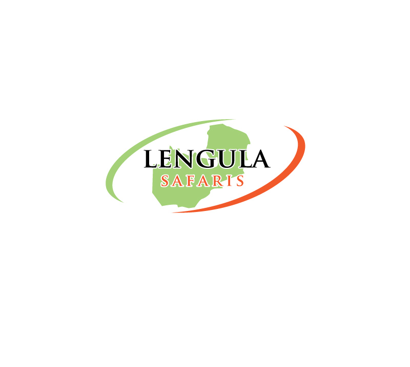 Diseño de Logo por instudio para este proyecto | Diseño #19617148