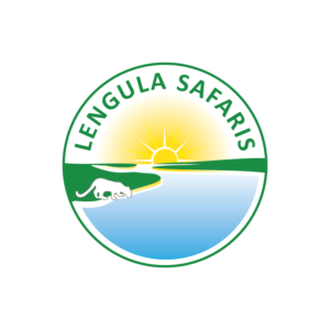 Logo Design by 1st Studio