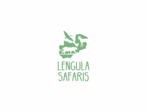 Logo Design by Edu Morente for this project | Design #19636652