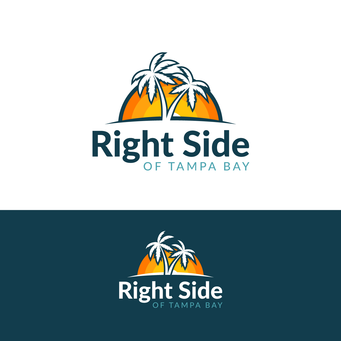 Logo Design For The Right Side Of Tampa Bay By Veronica Dan