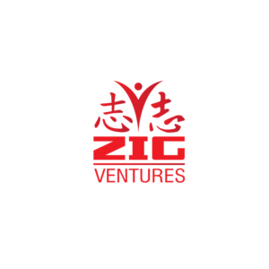 Logo Design by softvitals