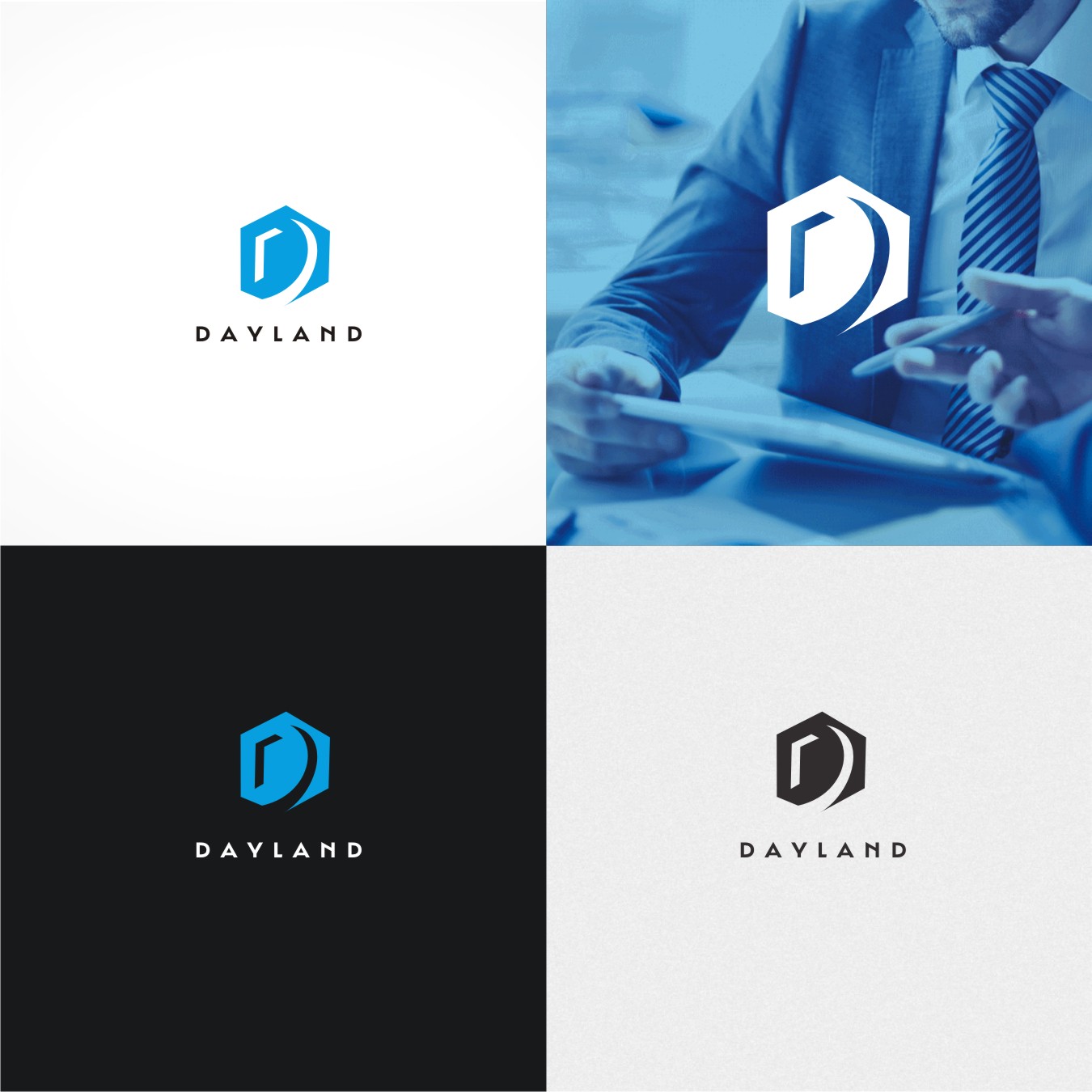 Logo Design by gray mind for Dayland Group | Design #19719934