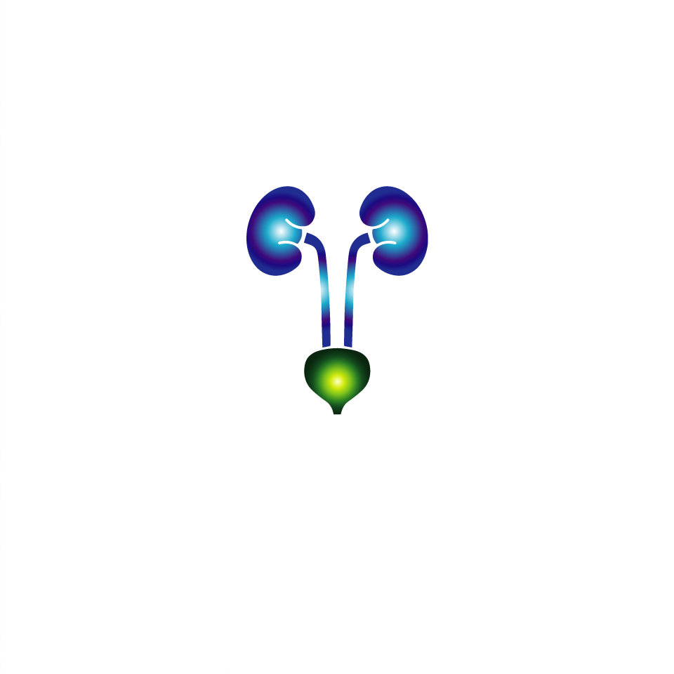 Design de Logo par agim.amir pour ce projet | Design #19678297