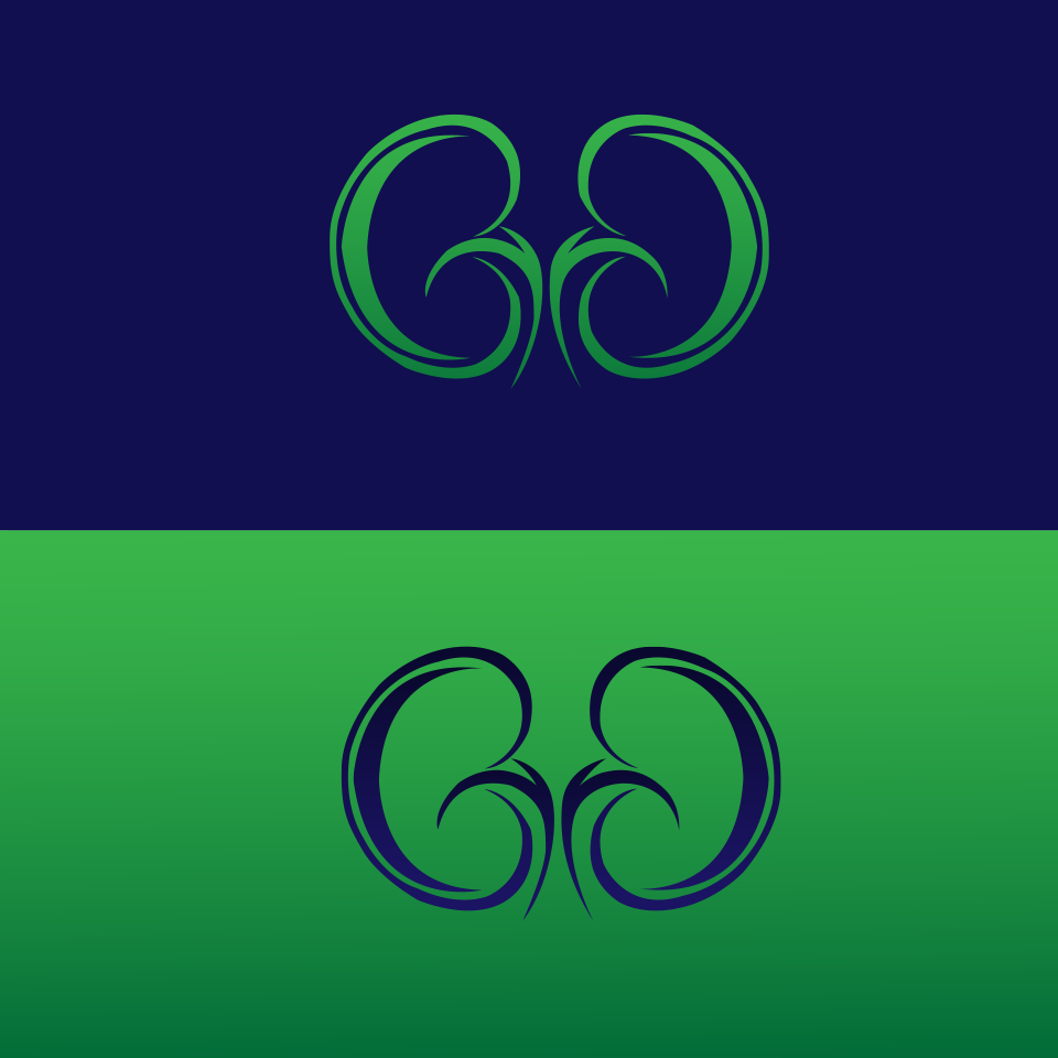 Logo Design by abdoemad 2 for this project | Design #19701078