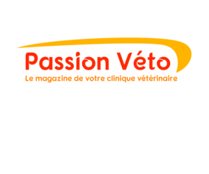 Logo Design by GraveDG
