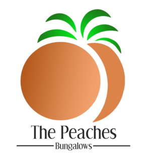 Logo Design by camrynsprouledesign