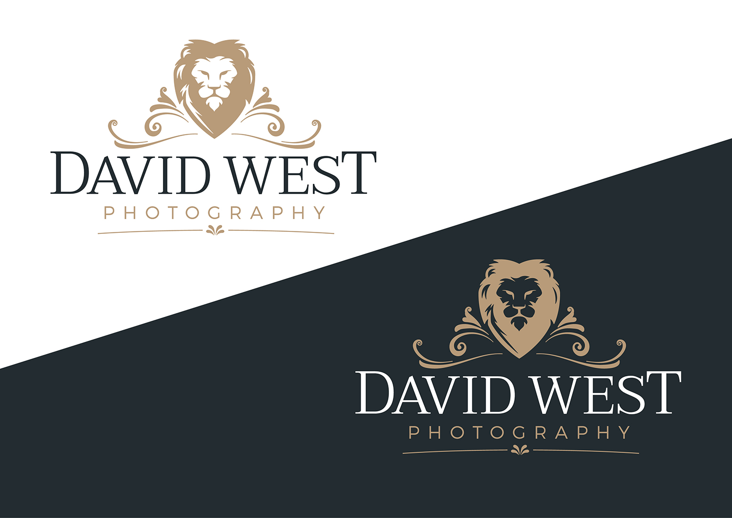Logo Design by Channel Studio for David West Photography | Design #20011479
