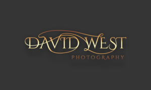 Logo Design by Acid