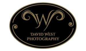 Logo Design by Diana's designs