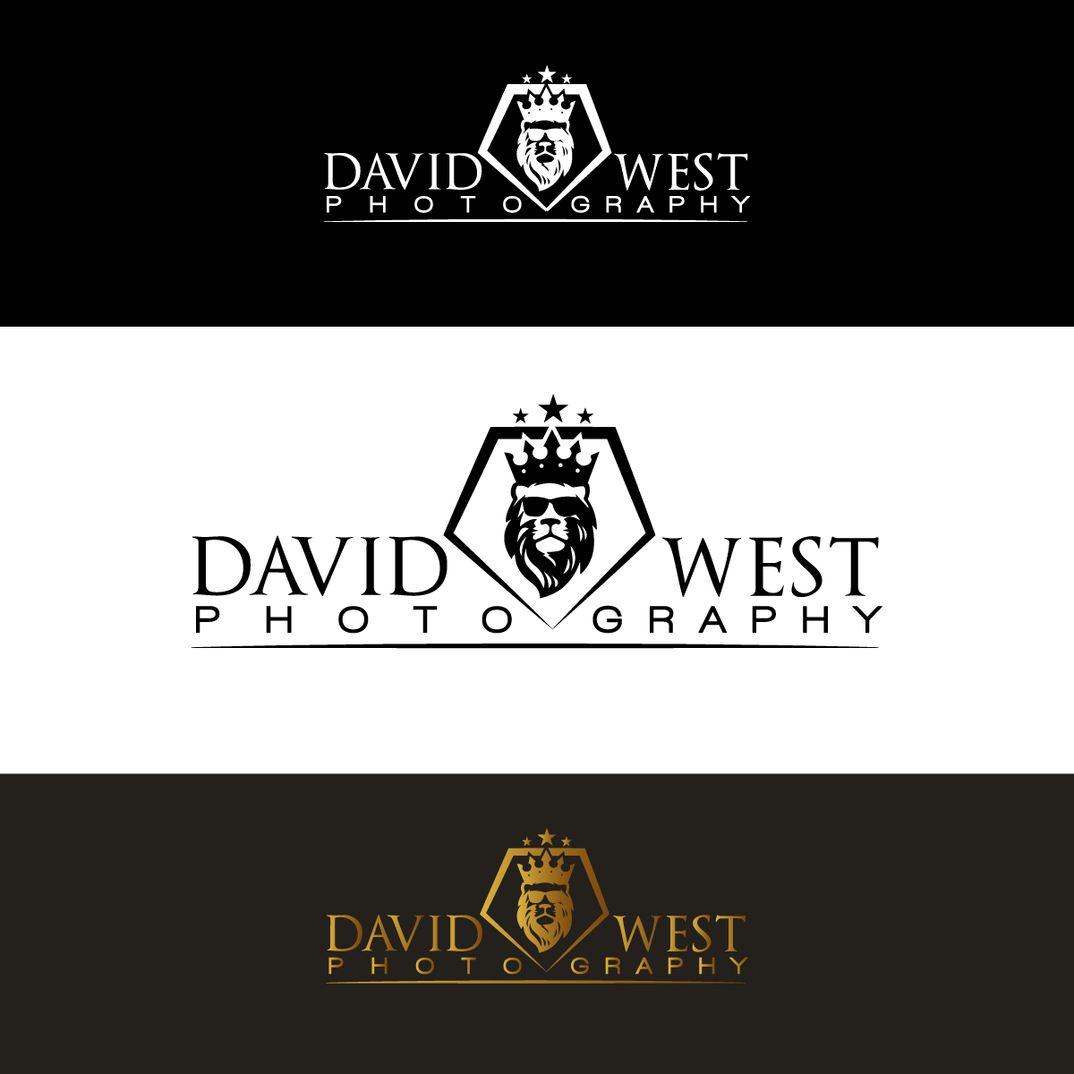 Logo Design by Israfil 13 for David West Photography | Design #19732576