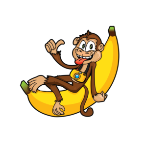 Graphic Design by MNM