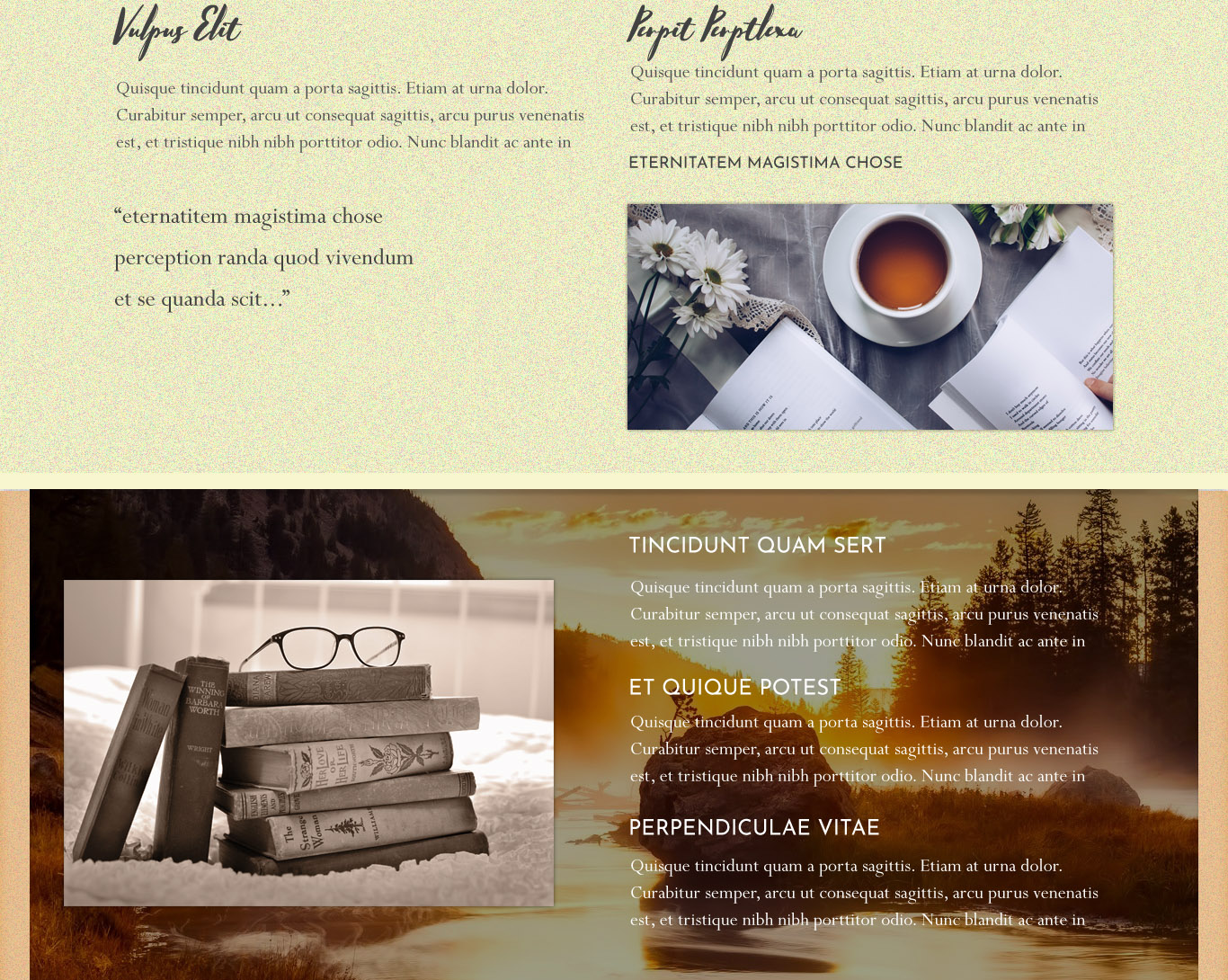 Diseño Web por designer para este proyecto | Diseño #19689531