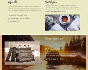 Web Design by designer for this project | Design: #19689531