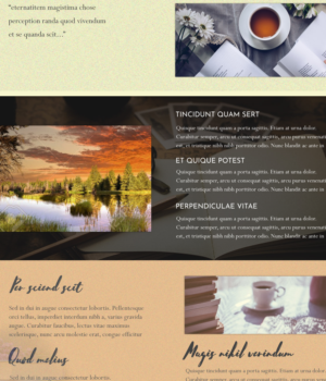 Web Design by designer for this project | Design: #19689544