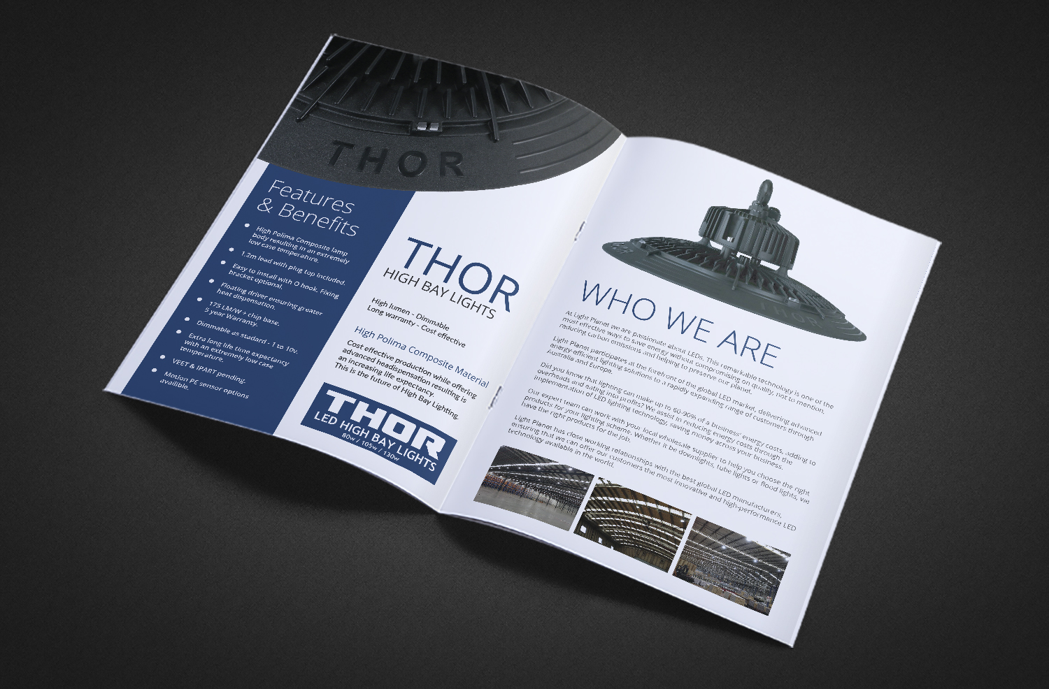 Flyer Design by Deziners Zone for SkyMorials  | Design #19657921