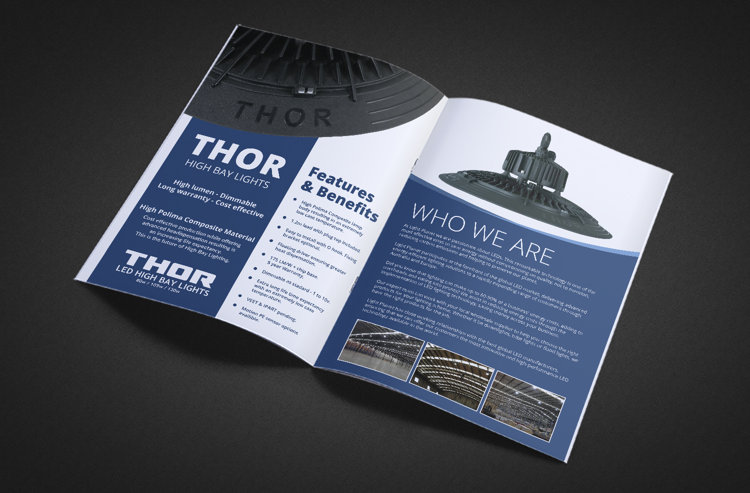 Flyer Design by Deziners Zone for SkyMorials  | Design #19657923