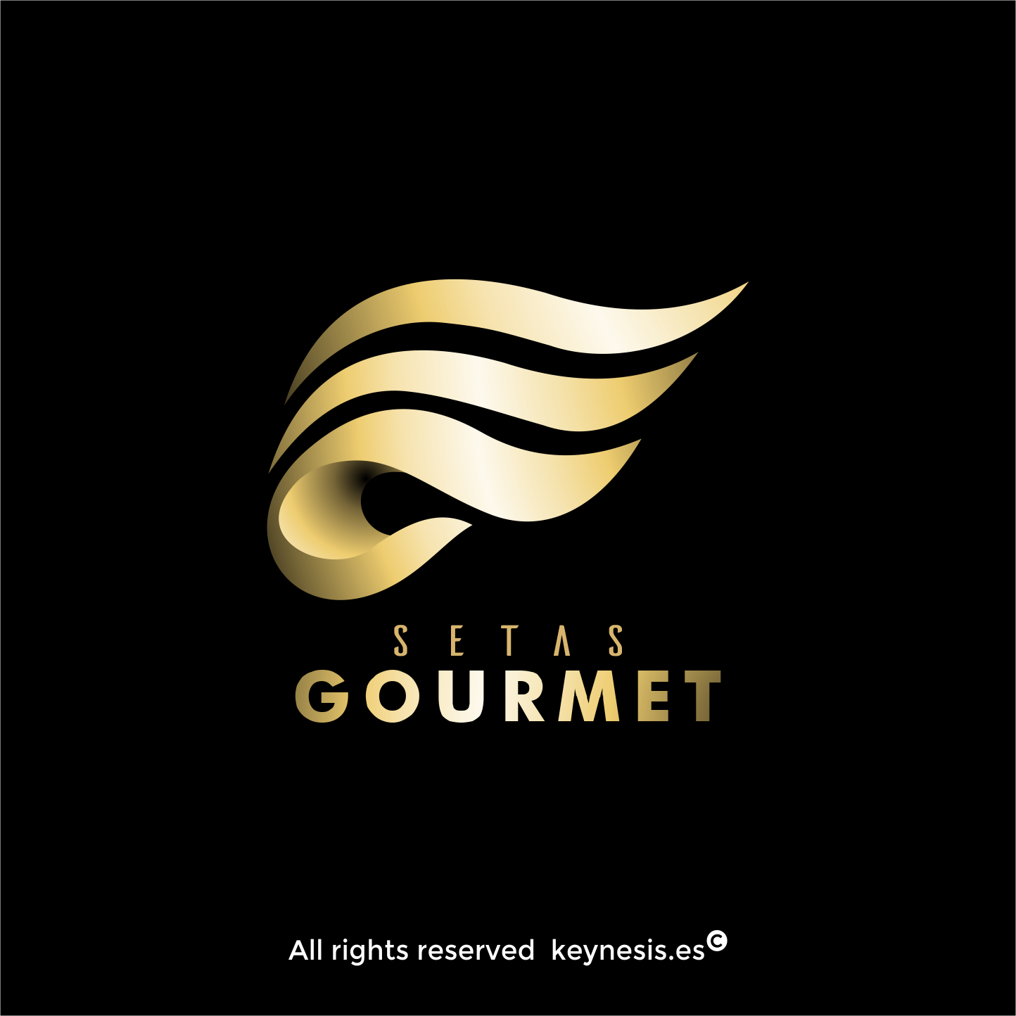 Diseño de Logo por keynesis para este proyecto | Diseño #19740630