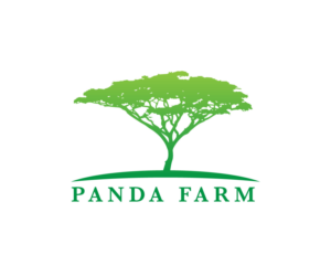Logo Design by Boon