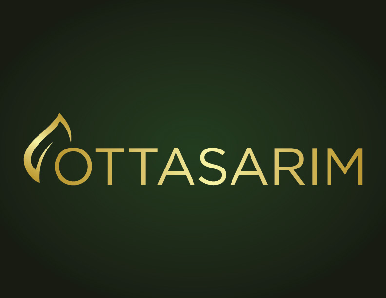 Logo Design by bc21 for Astel | Design #19867858