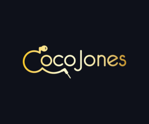Logo Design by Logokamu